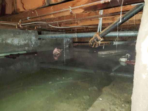 Professional Water damage restoration in Harrison, WI