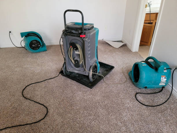 Best Basement water damage restoration  in Harrison, WI