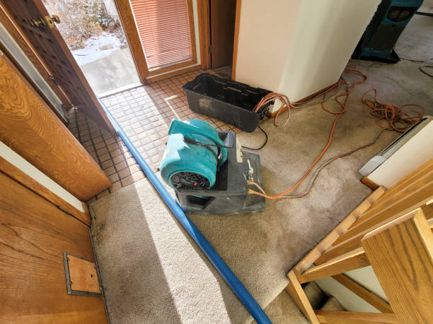 Best Carpet water damage restoration  in Harrison, WI