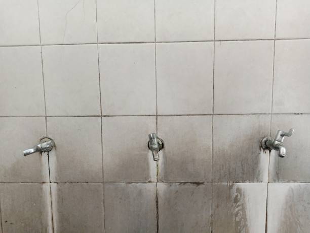 Best Water damage cleanup near me  in Harrison, WI