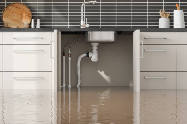 Best Flood restoration services  in Harrison, WI