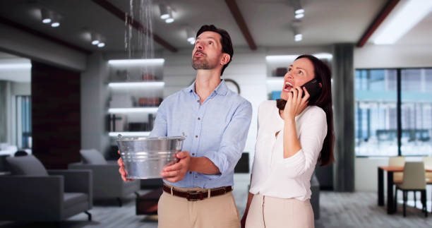 Best Emergency water damage restoration  in Harrison, WI