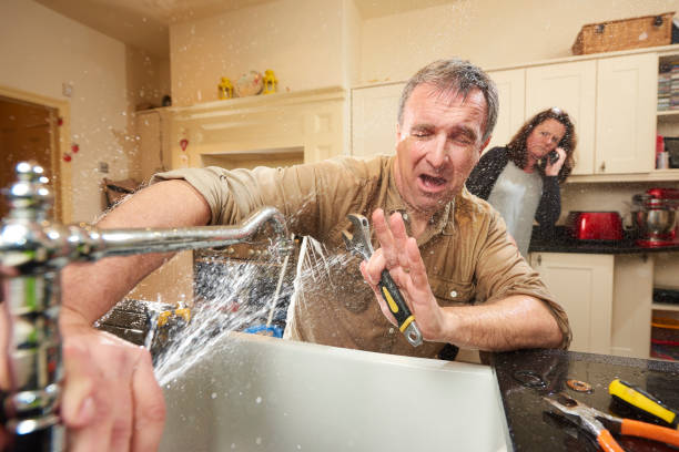 Best Mold removal after water damage  in Harrison, WI